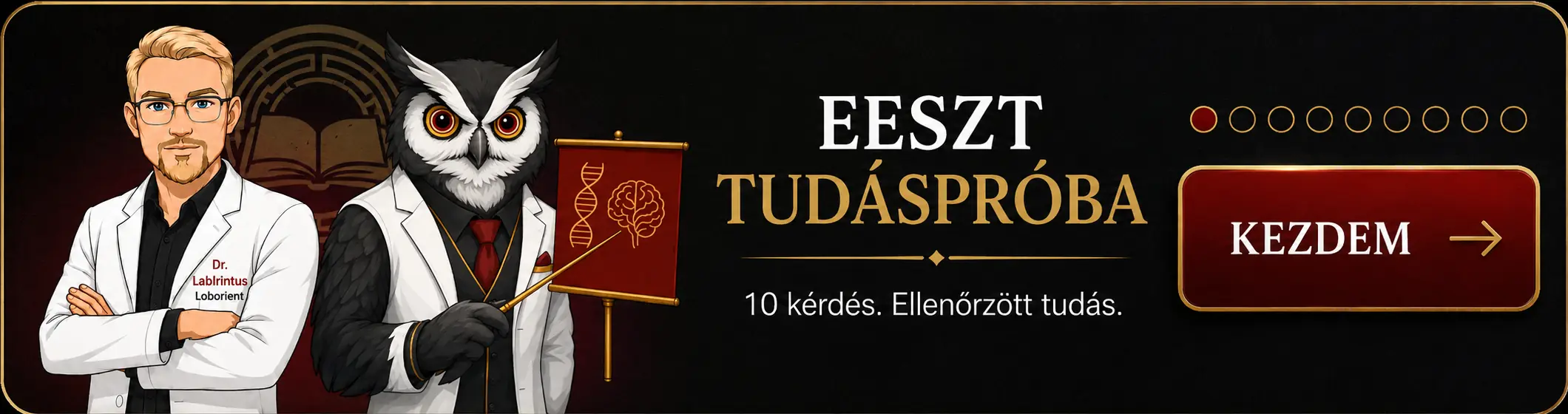 EESZT Tudáspróba Dr. LabIrintusszal és Prof. Lobiusszal – 10 kérdés, ellenőrzött tudás